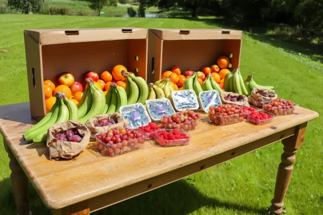vegetable lovers box selection leafy greens tomatoes peppers carrots Kenya
