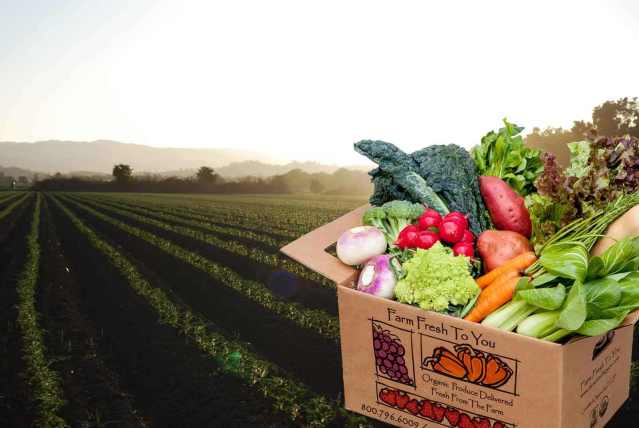 fruit mix box colorful Kenyan fruits mango pineapple banana berries